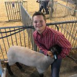 MIlford's Justin Haggerty at the Delaware State Fair as he showed two sheep in competition