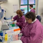 Medical professionals prepare coronavirus tests