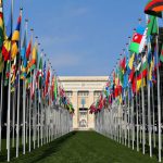 View of a United Nations office building with grass flanked by a large number of colorful flags of member nations leading to the building