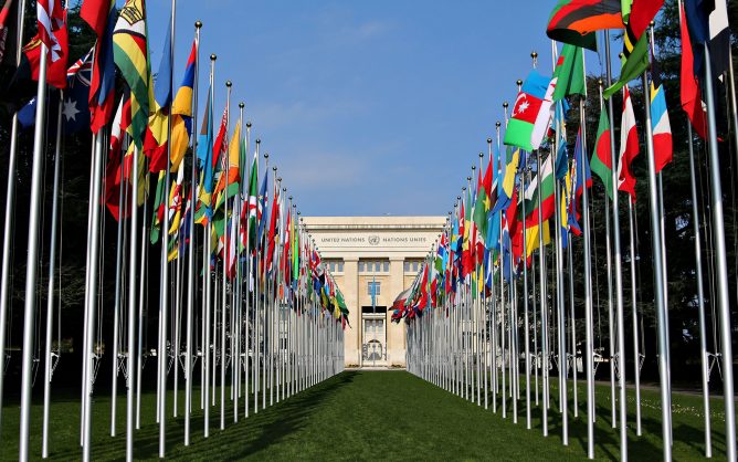View of a United Nations office building with grass flanked by a large number of colorful flags of member nations leading to the building