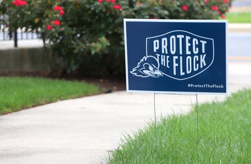 A yard sign reading Protect the Flock stands next to an empty sidewalk