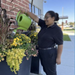 A young adult in a polo shirt and slacks waters an outdoor planter full of colorful flowers.