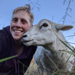 An adult with short blond hair with a sheep